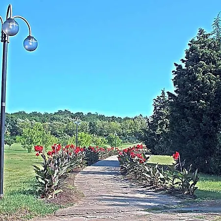 Duni Pelican 4*