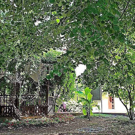 Hotel Duni Pelican Dyuni